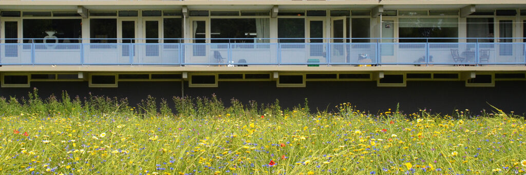 Appartementencomplex met witte kozijnen en een blauwe balustrade