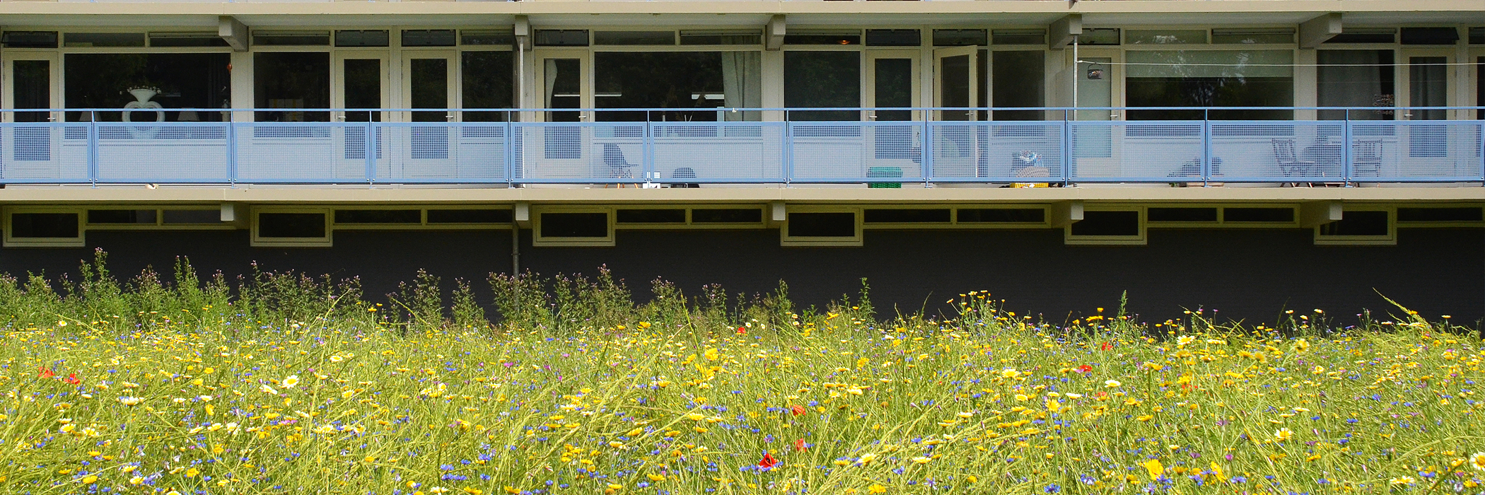 Zonnepanelen blijven rendabel na afbouw saldering