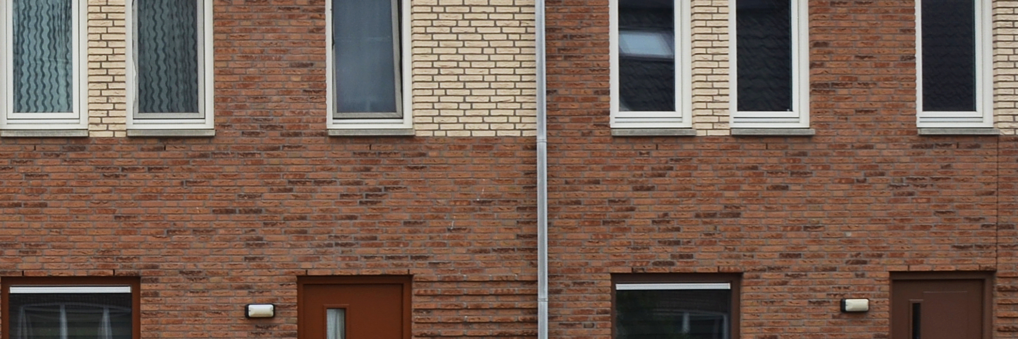 Extra geld voor (pre-) soortenmanagementplannen