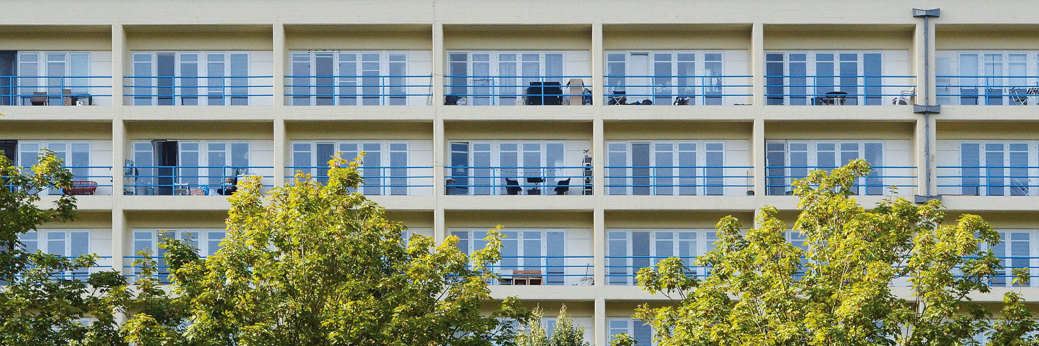Appartementencomplex met witte gevel, blauwe kozijnen en blauwe balustrade met twee bomen