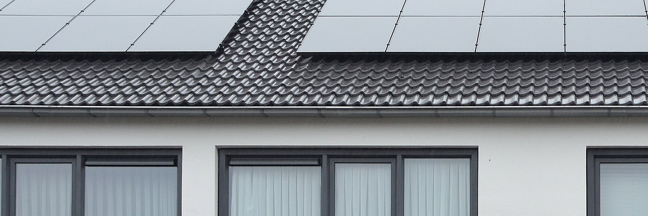 Subsidie voor versnelling natuurinclusief isoleren 