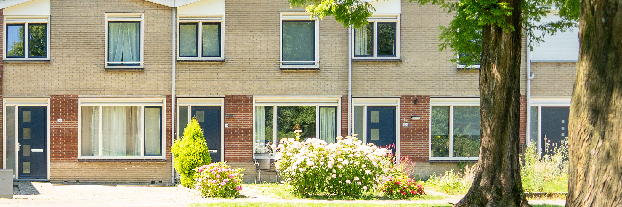 Woningen met twee bruin kleurige bakstenen gevel, witte kozijnen, blauwe deuren en bomen ervoor