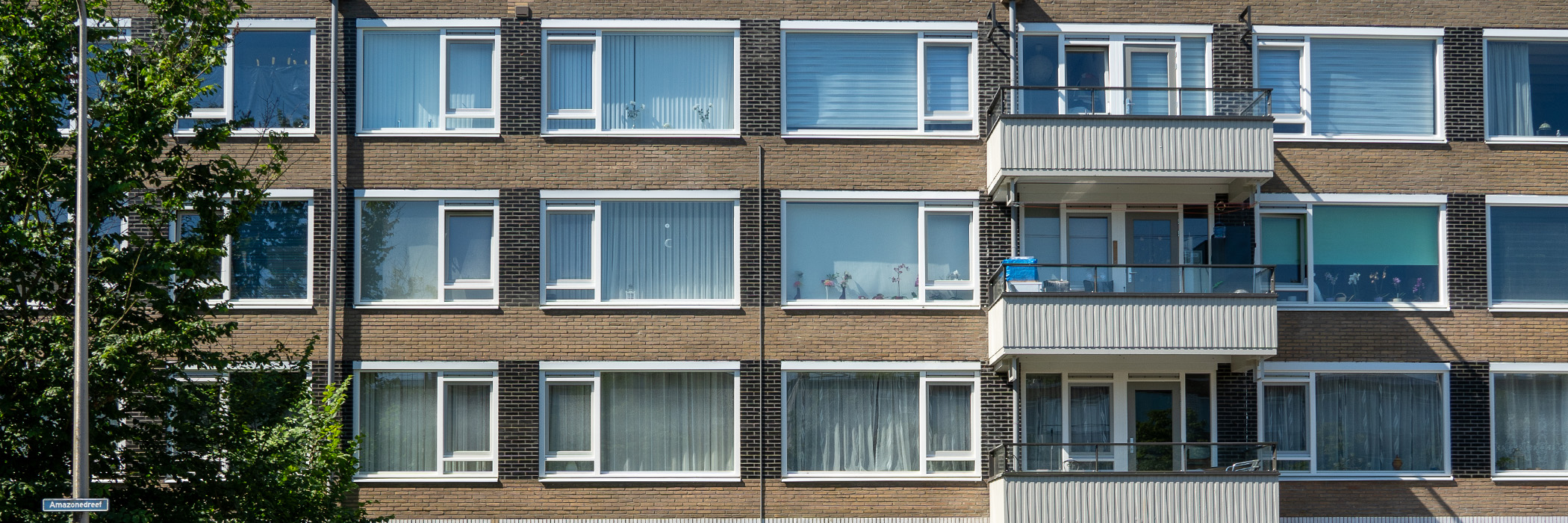 Appartementencomplex met bruine bakstenen gevel, witte kozijnen en grijze balkons met en boom ervoor