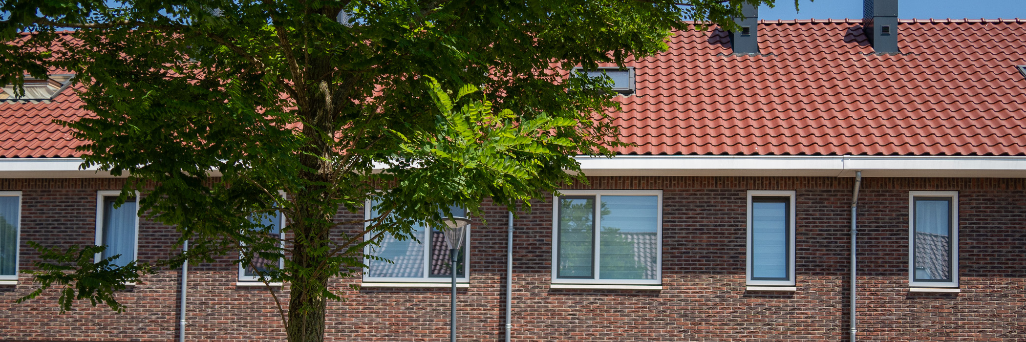 Woningen met bruine bakstenen gevel, rode dakpannen, witte dakgoot met een boom voor de deur