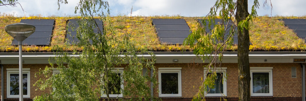 Woningen met lichtbruine bakstenen gevel, witte kozijnen, groen dak bedekt met planten en met zonnepanelen en twee bomen voor de deur