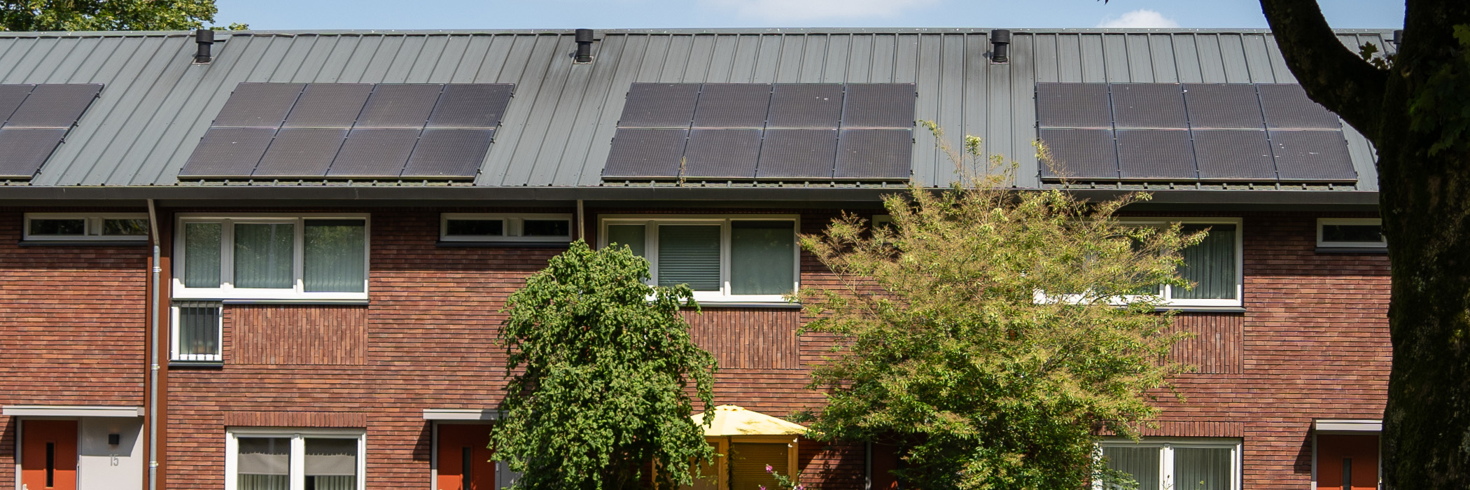 Woningen met donkerrode bakstenen gevel, witte kozijnen, oranje deuren en grijze daken met zonnepanelen erop met drie bomen ervoor