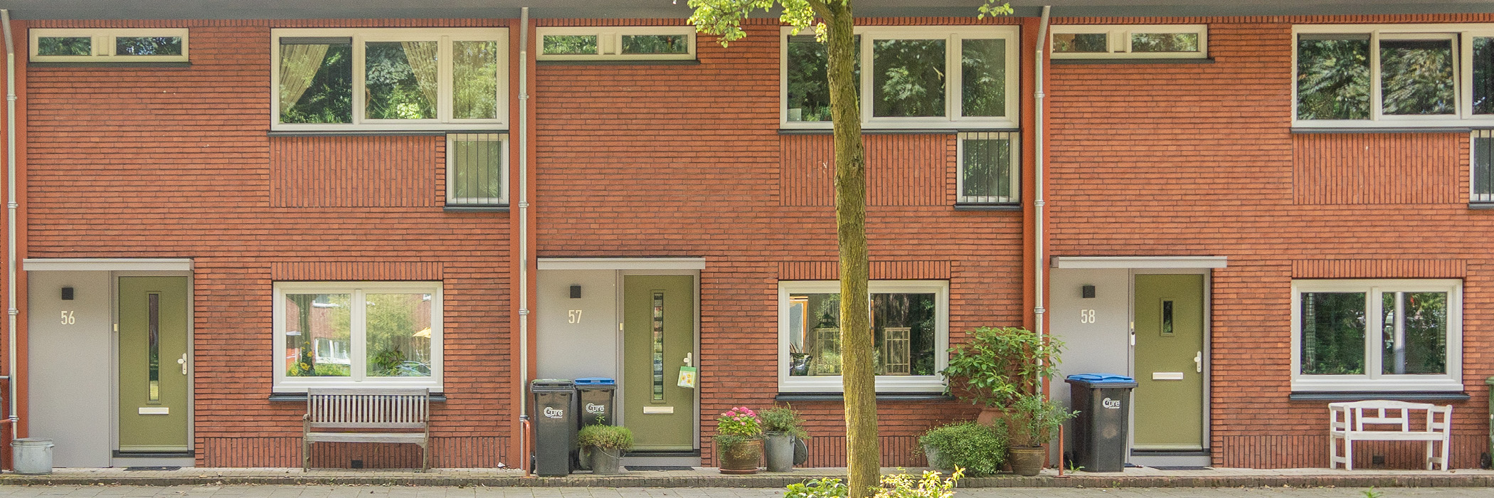 Woningen met donker rode bakstenen gevel, witte kozijnen, groene deuren met een boom voor de deur