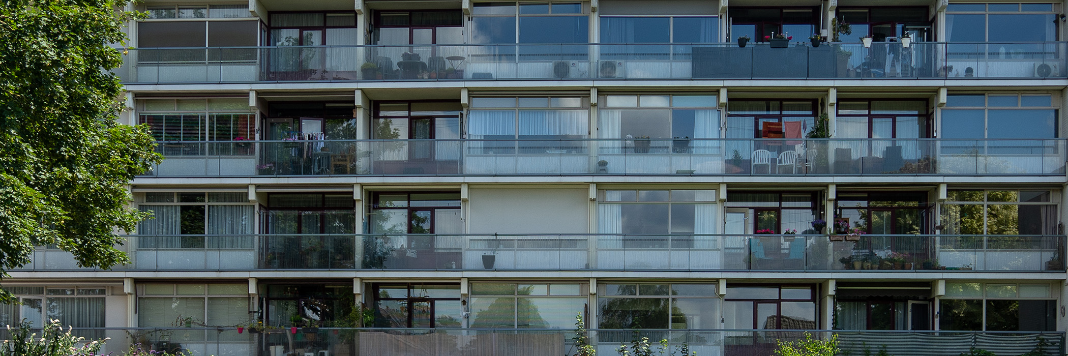 Appartementencomplex met grijze kozijnen, glazen balkons en een boom ervoor