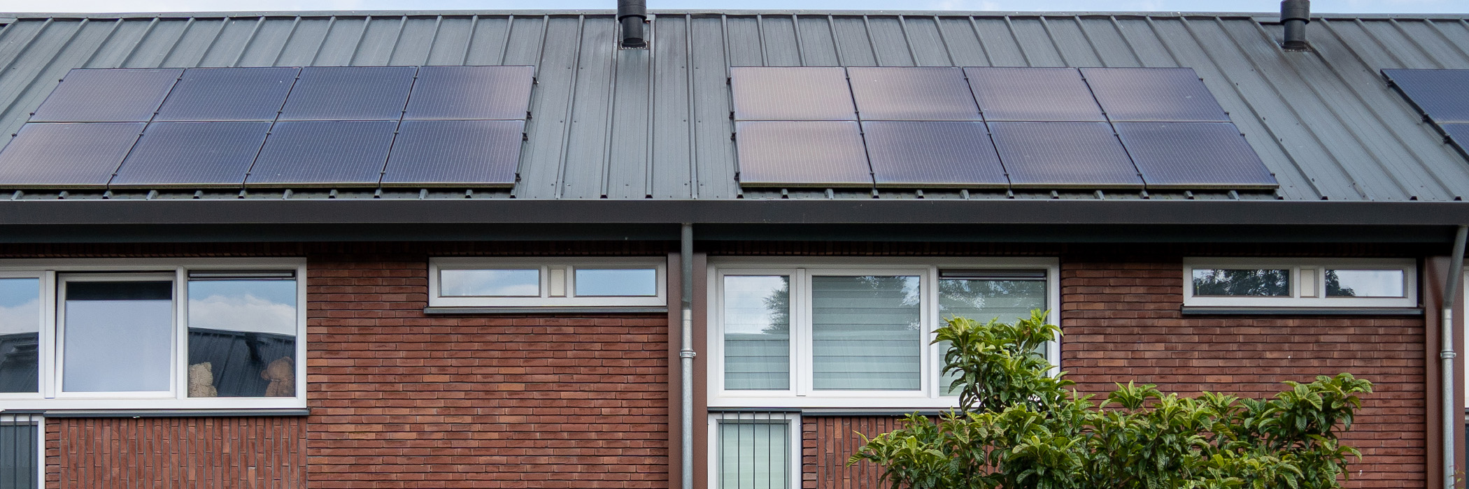 Woningen met bruine bakstenen gevel, witte kozijnen, grijs dak met zonnepanelen met een boom ervoor