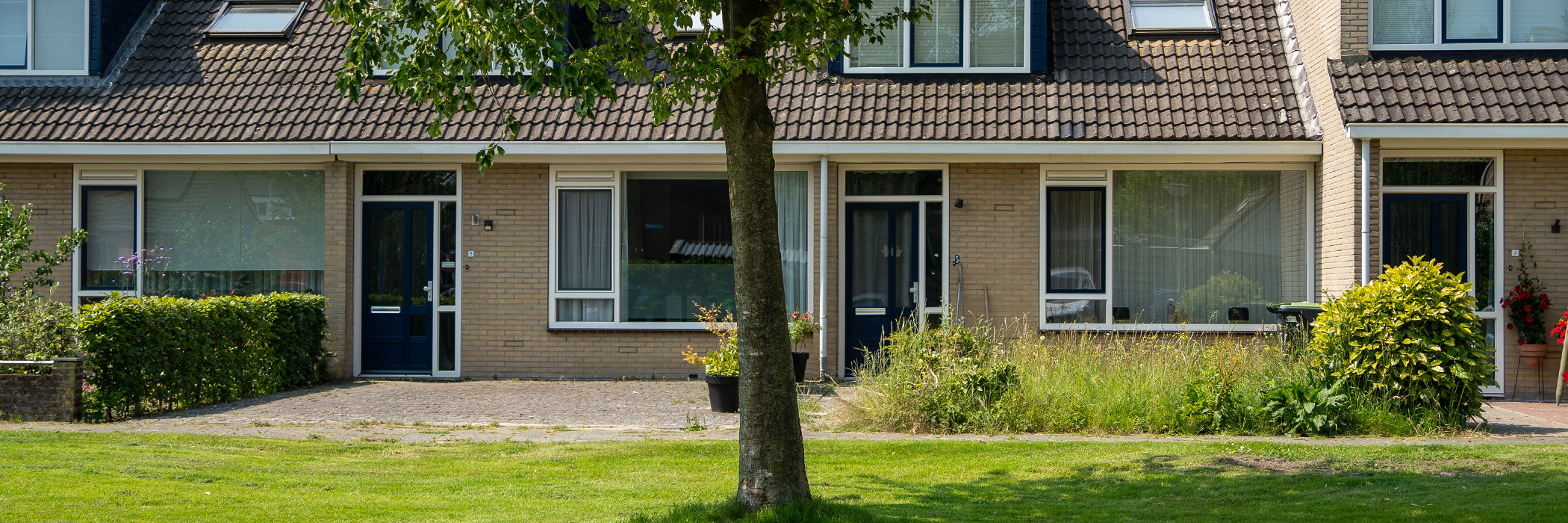 Woningen met lichtbruine bakstenen gevel, donkere dakpannen, witte kozijnen met blauwe ramen en deuren met gras voor de woningen en een boom
