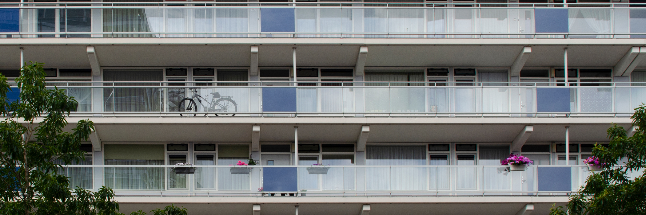 Appartementencomplex met witte kozijnen, grijze deuren en witte balustrade met blauwe platen