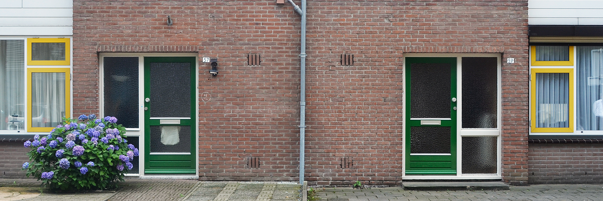 Woningen met bakstenen gevel, witte kozijnen, gele ramen, groene deuren en hortensia's voor de deur