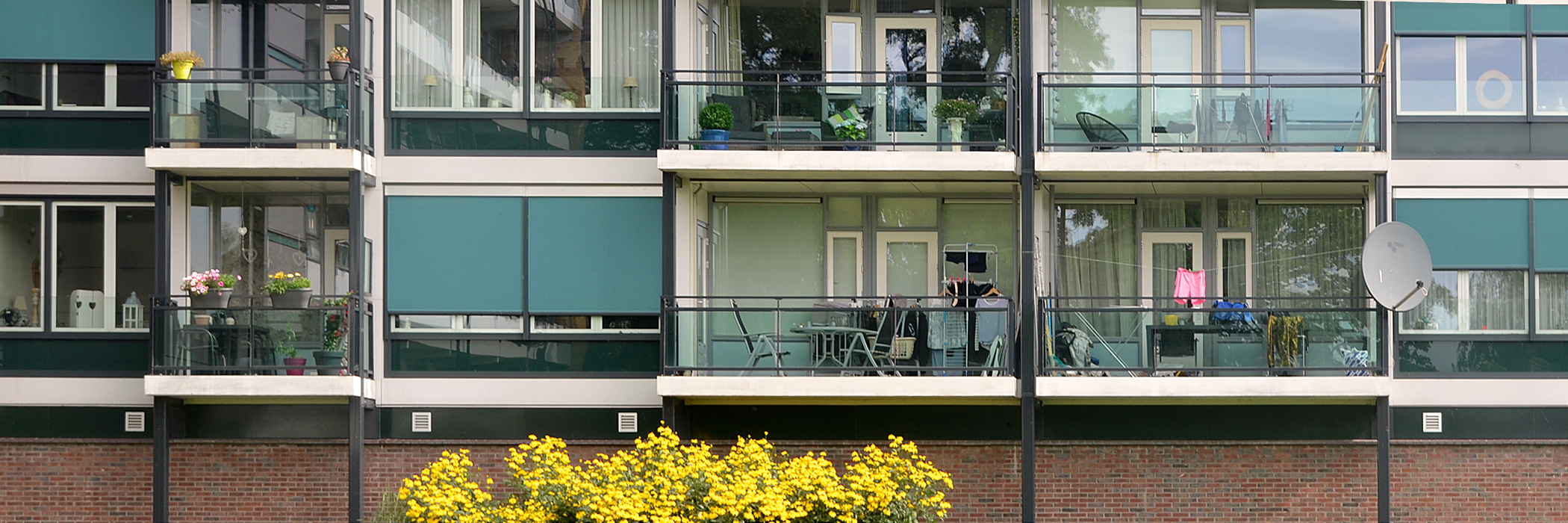 Appartementen met bruine bakstenen gevel, witte kozijnen, blauwe lamellen