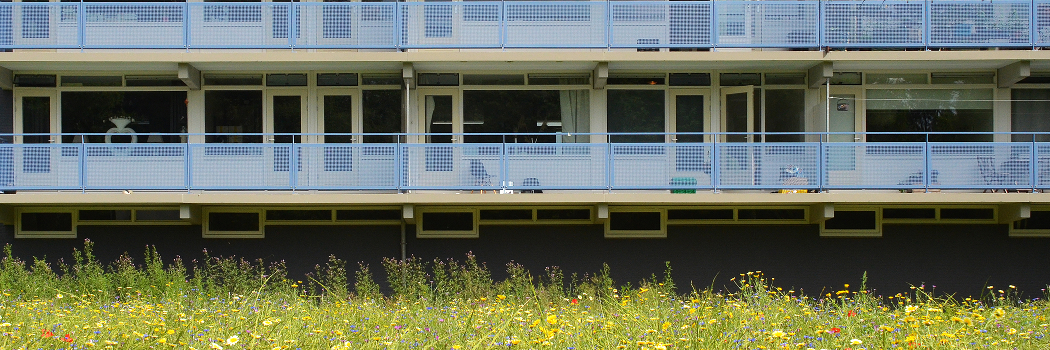 Appartementen met witte kozijnen, crème deuren, blauwe balustrade en bosjes voor de deur