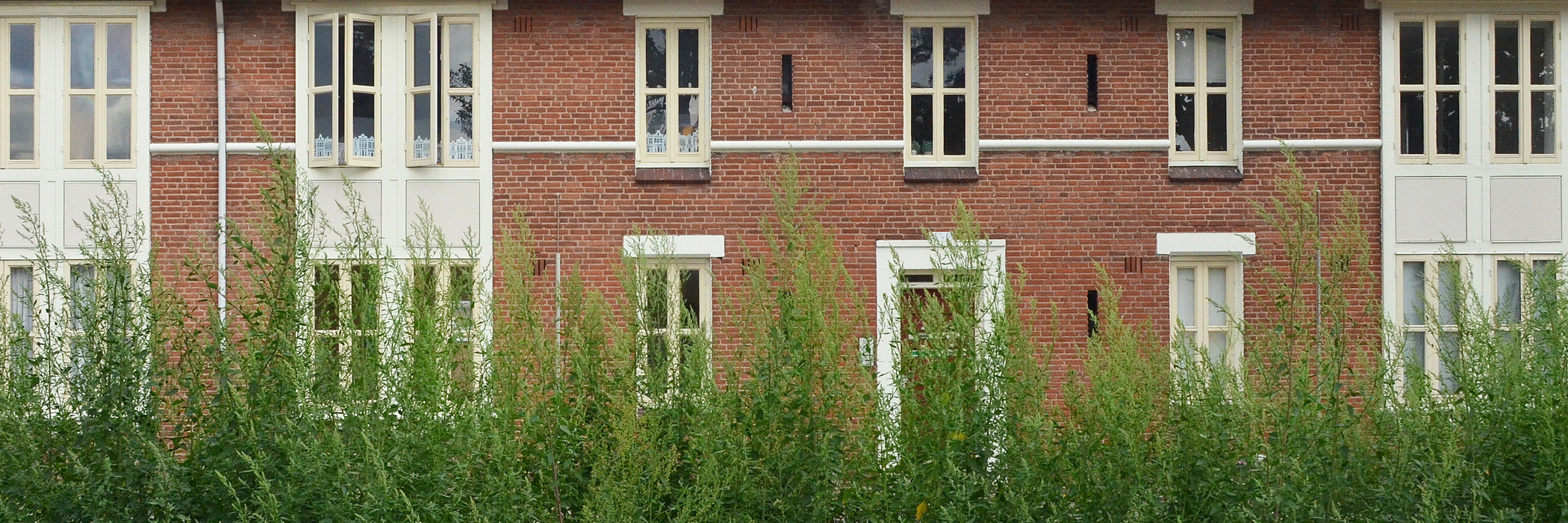 Woningen met bruine bakstenen gevel, gele kozijnen en groene bomen voor de deur