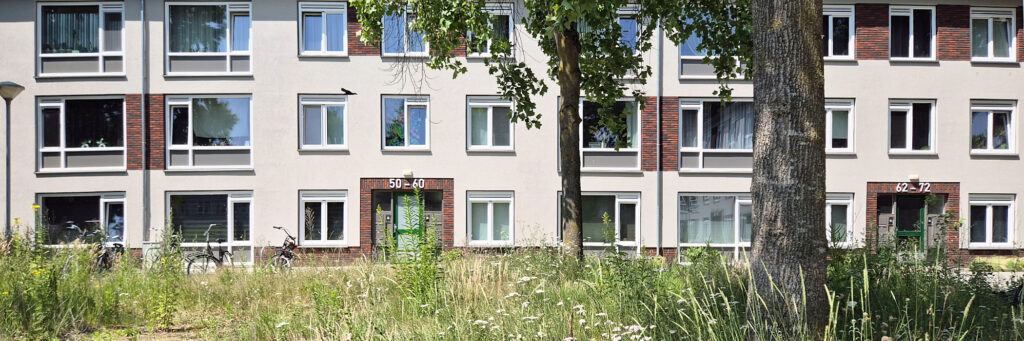 redelijk nieuw appartementen complex met groenstrook ervoor met bomen