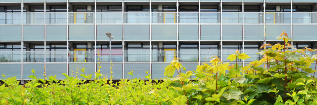 flatgebouw met grijze beplating en gele deuren. voor het complex staat een hoge groene struik