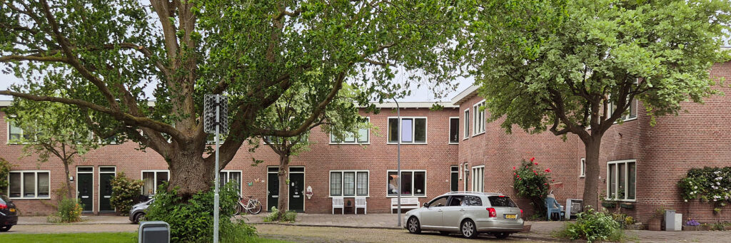 rijtjeswoningen met een groen veldje ervoor met grote bomen